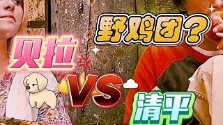 【卡爾】貝拉又開啟小嘴抹蜜環(huán)節(jié)了，威力堪比機(jī)關(guān)槍！——3