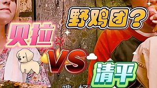 【卡爾】清平還挺有心機(jī)，反復(fù)試探卡雞賊~——5