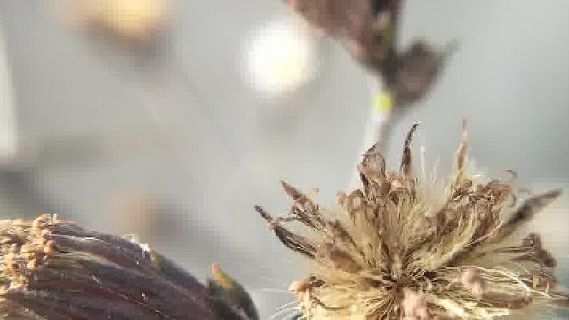 创业人最硬核的勋章是客户说你们改变了我的生活