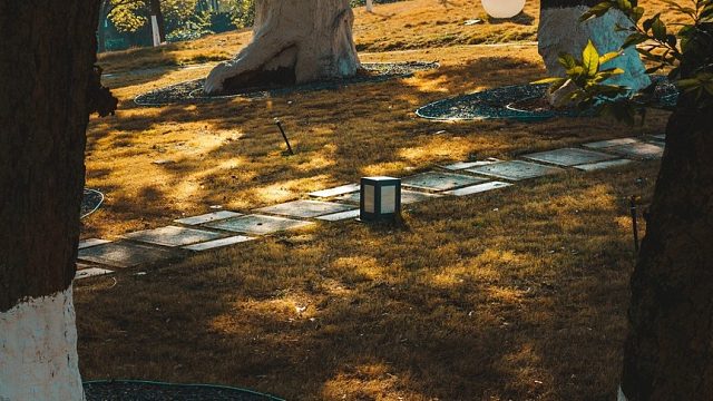 创业是凌晨四点的咖啡香是会议室里的争吵声