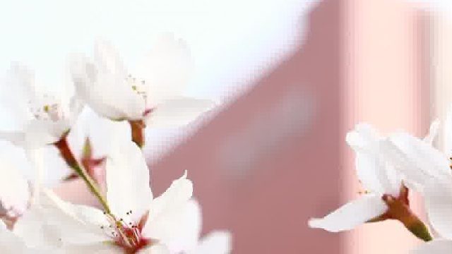 创业之路充满挑战质疑是推动前进的动力