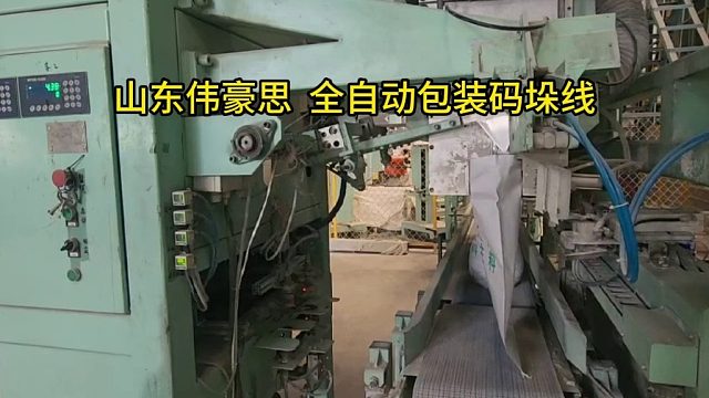 碳酸氢钠包装码垛系统 全自动包装码垛线 山东伟豪思
