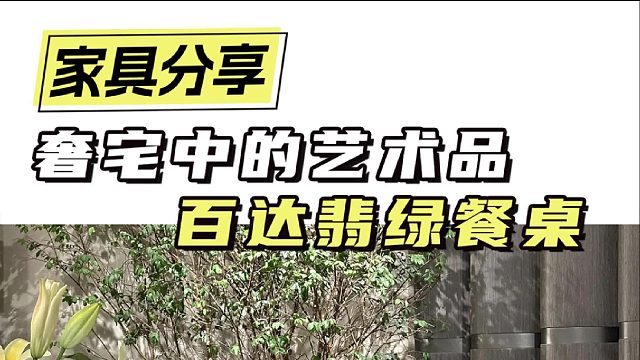 奢宅中的艺术品 百达翡绿餐桌