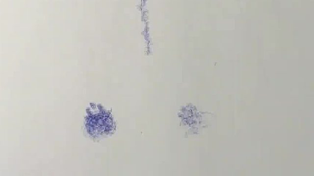 喜欢敲画，卧槽