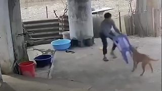 今天你不弄死我，沒完