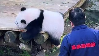 外公惹毛了三妹，被追得滿院子跑哈哈