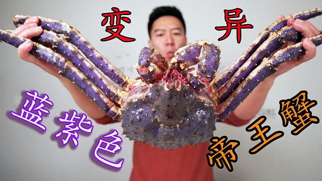 2888买一只蓝紫色帝王蟹，几百万里出现一只，会翻车吗？