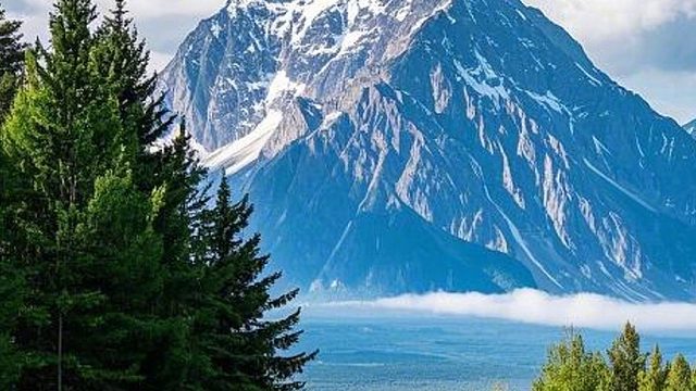 创业过程中试错是成长的关键