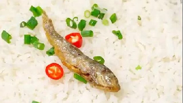 今天都是鱼，你们会选哪个呢？