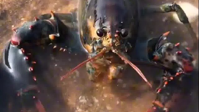 带你去体验渔民的生活