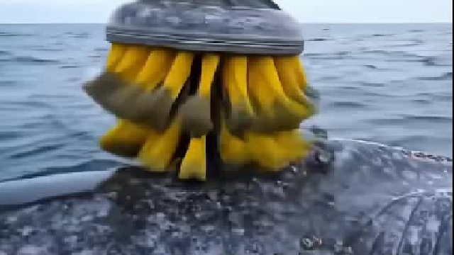 谁研究的，得劲