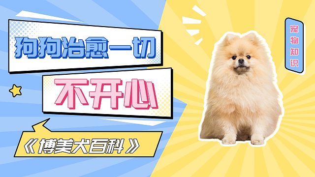 狗狗治愈一切不开心！