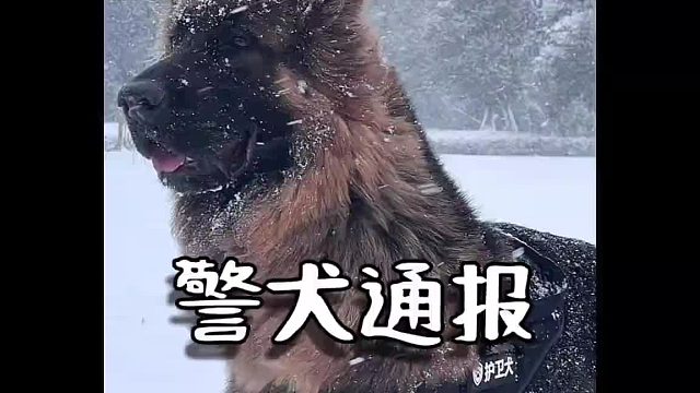 上班死气沉沉，下班魅力四射，闪电表示都是有原因的