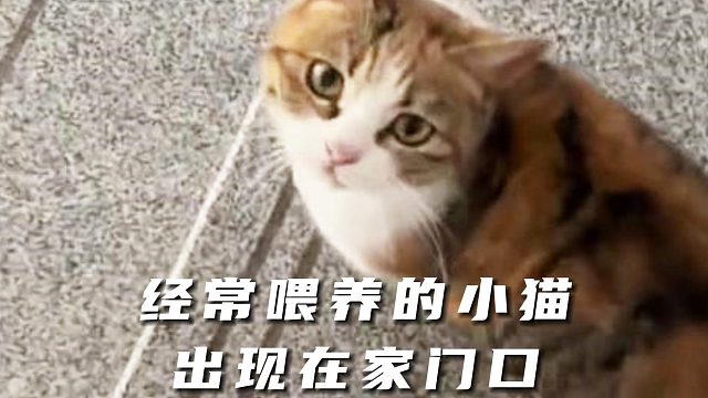 母爱的力量，在此刻无敌了