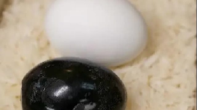 今天都是蛋，大家会选哪个？