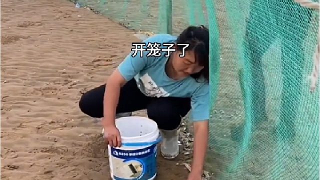 赶海抓到宝
