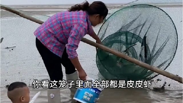 赶海赶海赶海啦