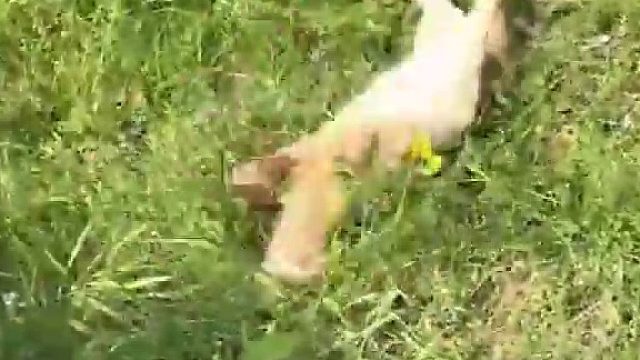 这是什么情况？？？？