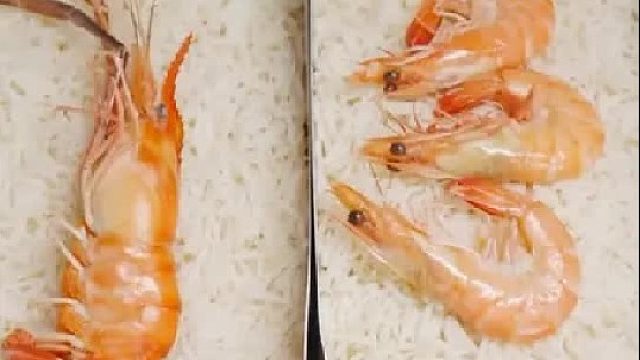 今天都是虾，大家会选哪个？