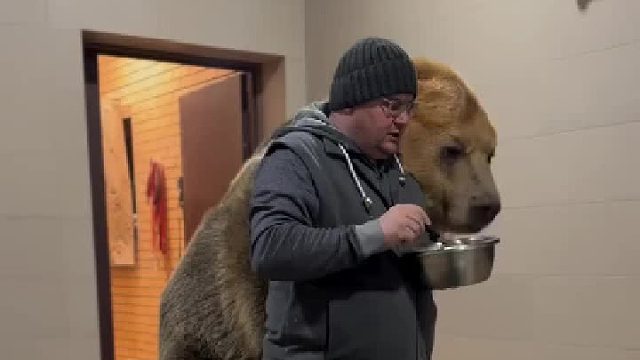 一定是是从小养大的~