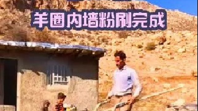 羊圈内墙粉刷完成搬进羊圈指日可待 (2)