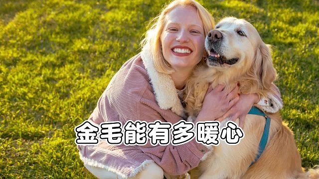 金毛能有多暖心？它的眼里只装得下你