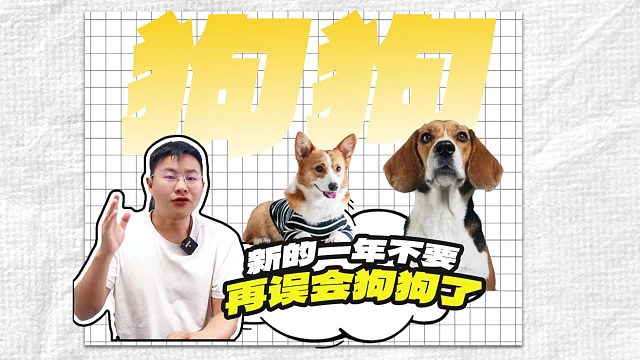 一定别再和狗狗，产生这些不必要的误会了