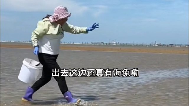 户外赶海抓海鲜