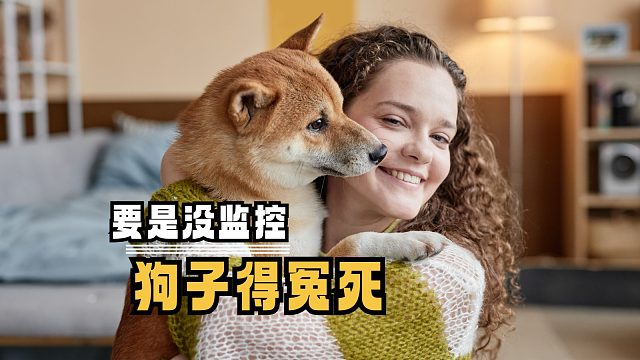 狗：好险，差点要流浪了