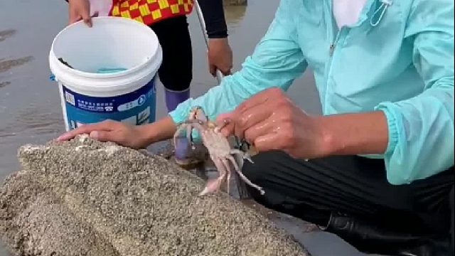 带你去体验渔民的生活