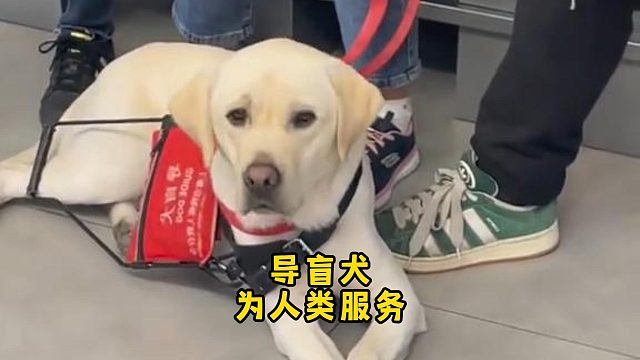 虽然我看不见，但你是我黑暗里的光