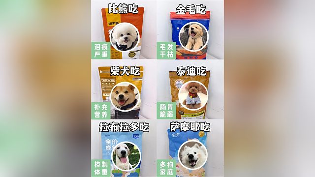 不同品种的狗狗，应该怎么选狗粮？