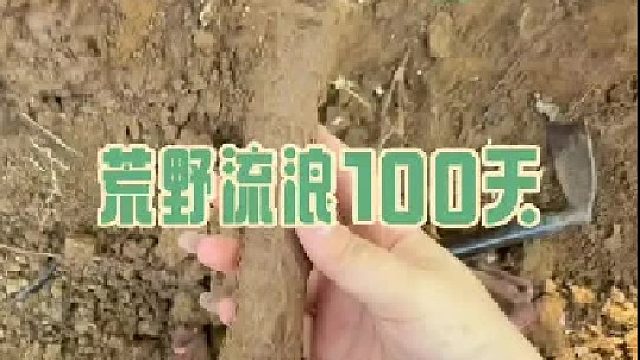 在别墅开辟了菜园子