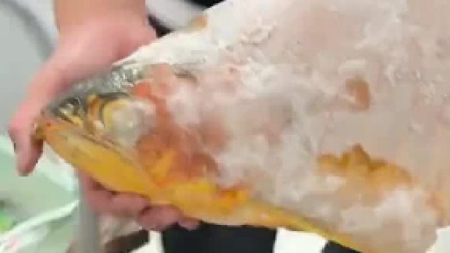 你永远想不到养鱼人的冰箱有多贵