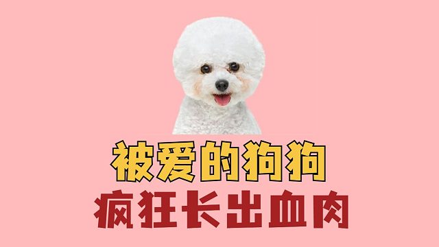 被爱的狗狗疯狂长出血肉
