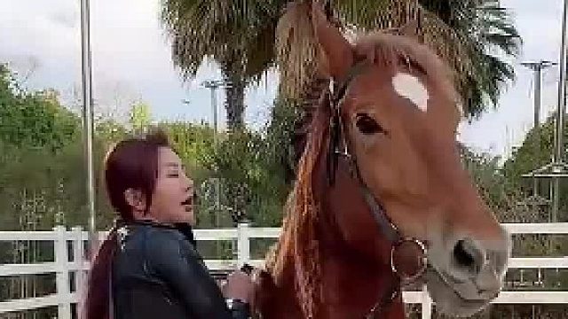 老虎真有两下子。