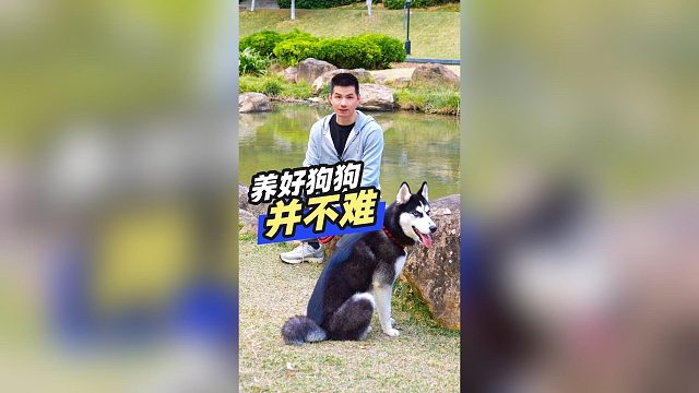 养好狗狗并不难