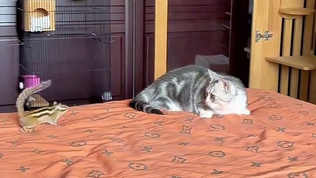 知道为什么这个家里我是老大么