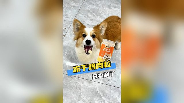 馋不腻冻干鸡肉粒，福利要不要？