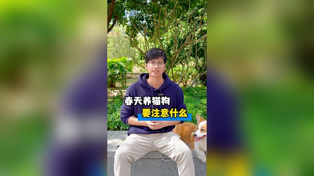 春天养猫养狗有什么讲究？这期视频告诉你！