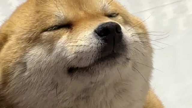 一个小耙子就把你收买了