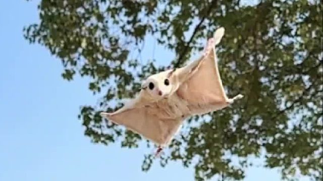 生活温柔，万物美好，不必做个人人都喜欢的人，但一定做个自己喜欢的人，不迎合，不将就。