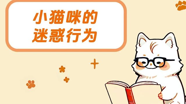 小猫咪的迷惑行为，怎么猴里猴气的！