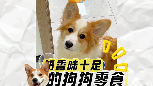 狗狗的软糯羊奶酪，还有肉肉超美味！