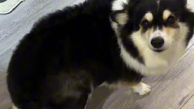 这俩字儿是不是长它痒痒肉上了？