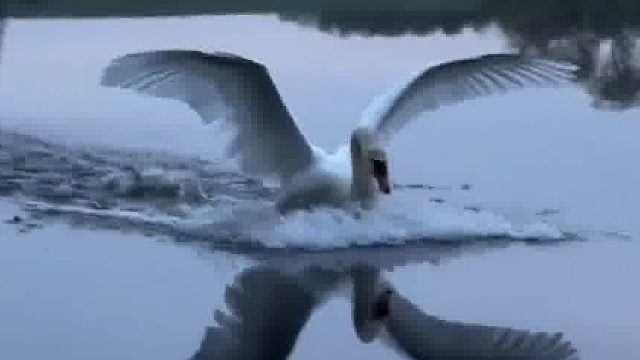 点刹？居然带ABS