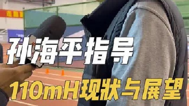 谈及110米栏的现状
