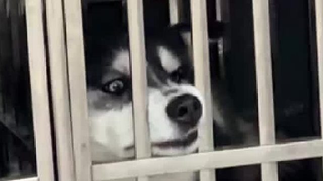 承认错误