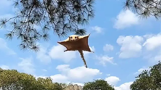 万事都有尽头 唯独思念没有。