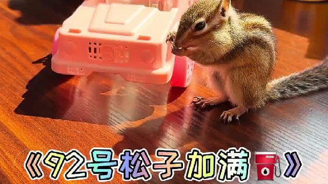 92号松子加满能跑一下午！